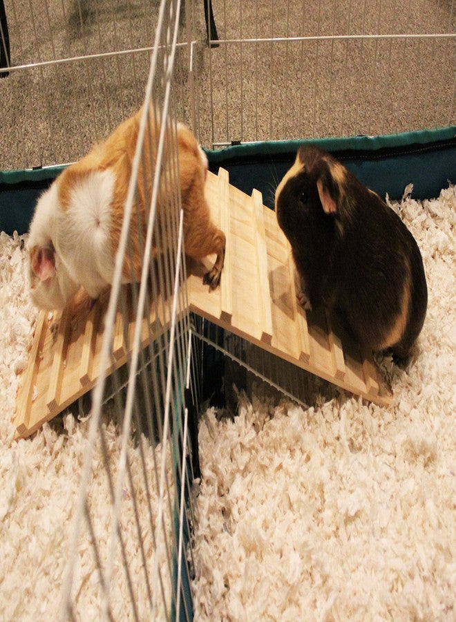 Pulse Brands Wood Bridge for Small Animal Cage or Habitat - Guinea Pigs, Ferrets, Chinchillas, Hedgehog, Dwarf Rabbits and Other Small Animals - Image 4